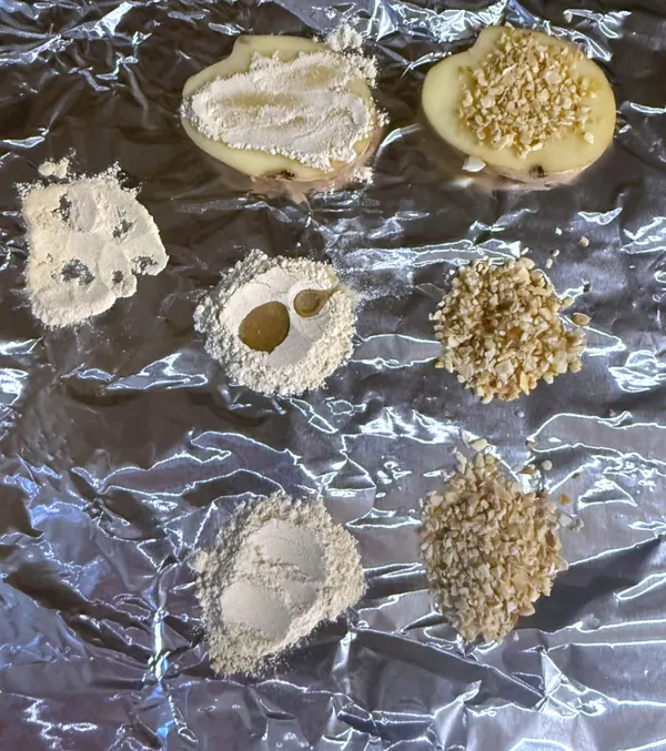 Horno a 200 °C, sobre papel de aluminio. Minuto 0: Al entrar al horno.