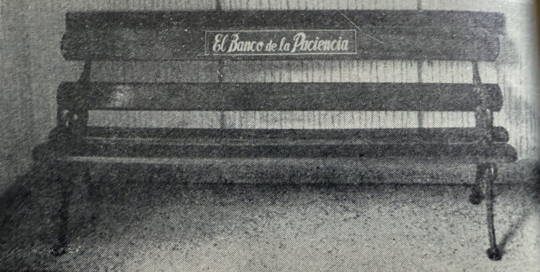 El Banco de la Paciencia en la fábrica de Especias 51